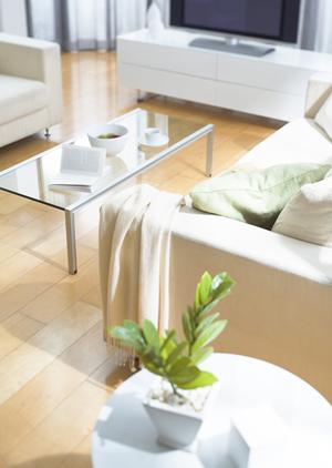 美しい庭と安心の駐車スペースを実現!松山での外構プラン完全ガイド