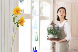名古屋でハウススタジオのレンタルなら