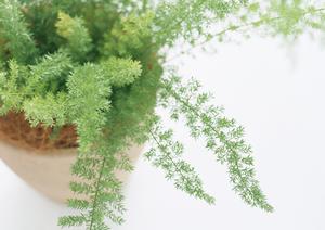 赤外線による外壁調査を行っています